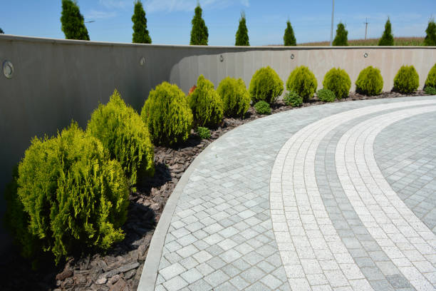 Reasons to Select Us for Your Driveway Paving Requirements in Aztec, NM